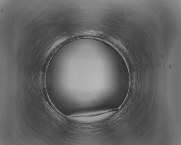 X0000082681404200702091621