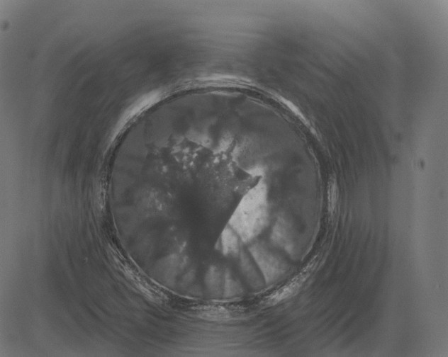 X0000082681405200702091621