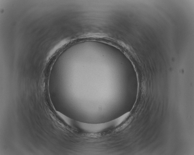 X0000082681406200702091621