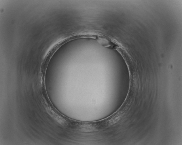 X0000082681408200702091621