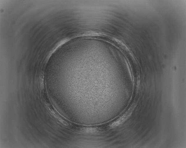 X0000082681409200702091621