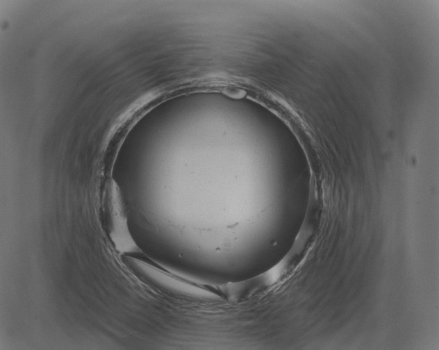 X0000082681410200702091621