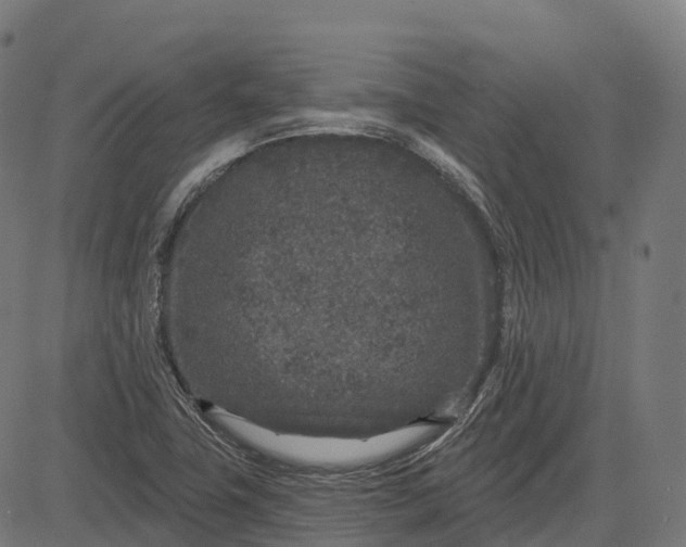 X0000082681411200702091621