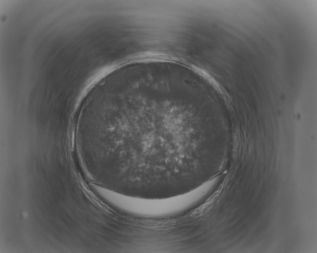 X0000082681413200702091621