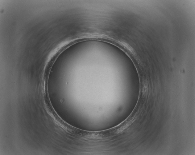 X0000082681414200702091621