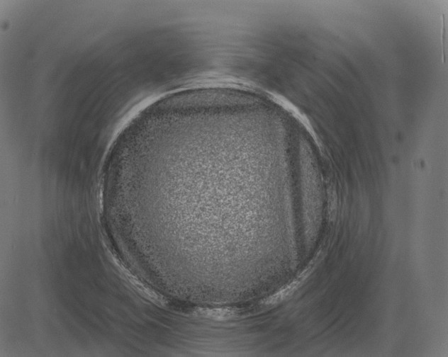 X0000082681415200702091621