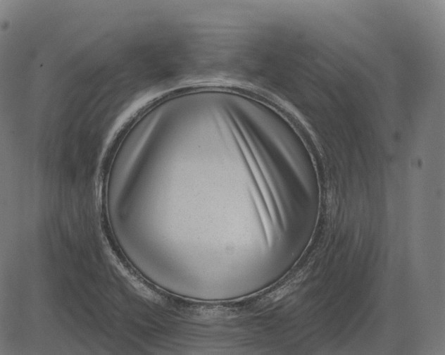 X0000082681416200702091621