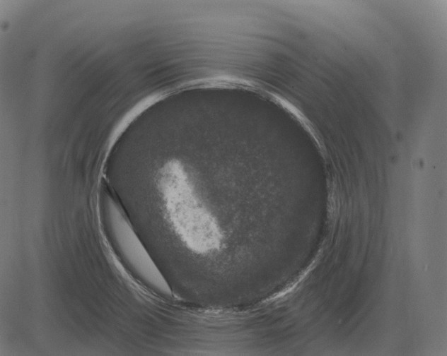 X0000082681418200702091621