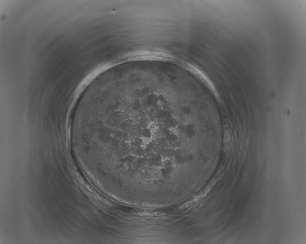 X0000082681419200702091621