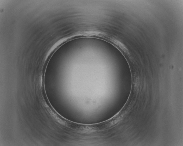 X0000082681420200702091621