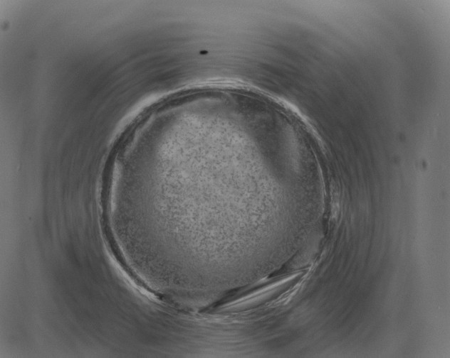 X0000082681422200702091621