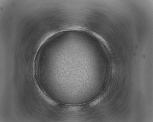 X0000082681423200702091621