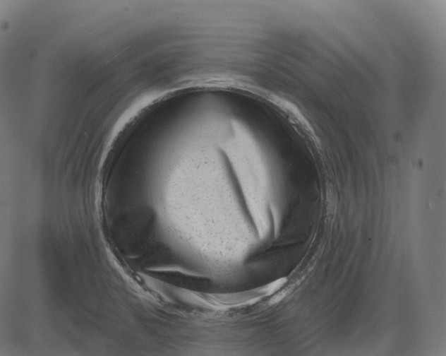 X0000082681424200702091621