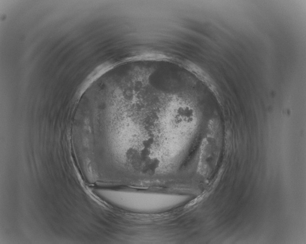 X0000082681425200702091621