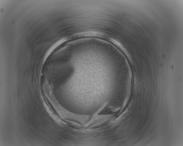 X0000082681426200702091621