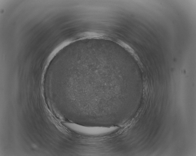 X0000082681427200702091621