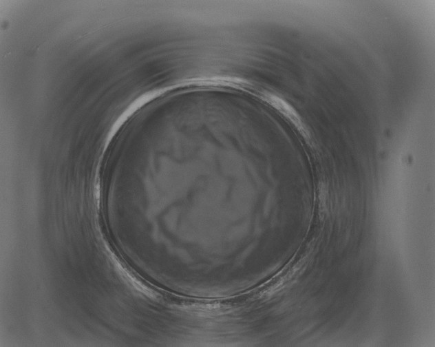 X0000082681428200702091621