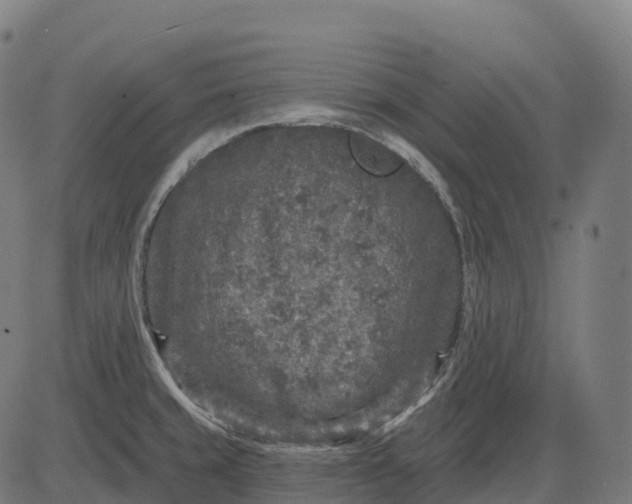 X0000082681429200702091621