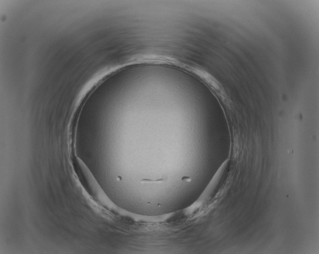 X0000082681430200702091621