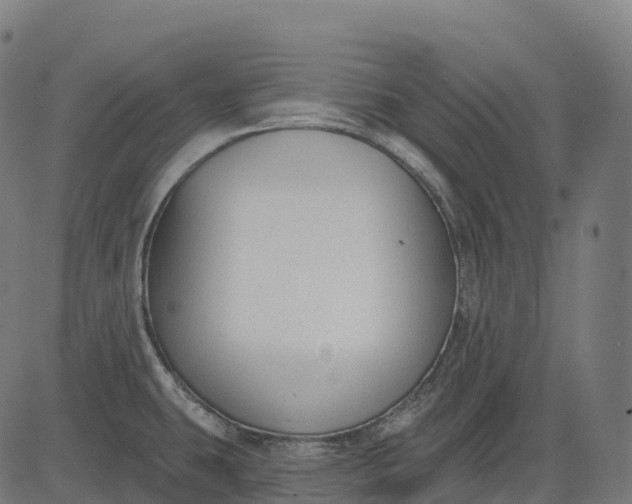 X0000082681431200702091621