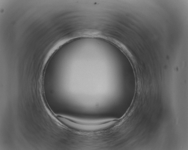 X0000082681432200702091621