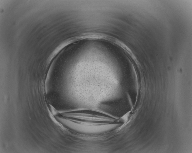 X0000082681433200702091621