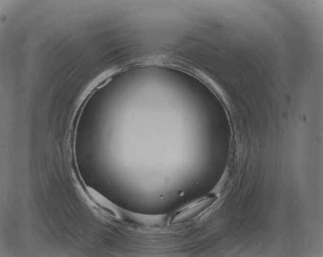 X0000082681434200702091621