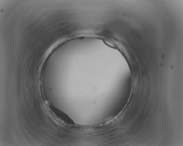 X0000082681435200702091621