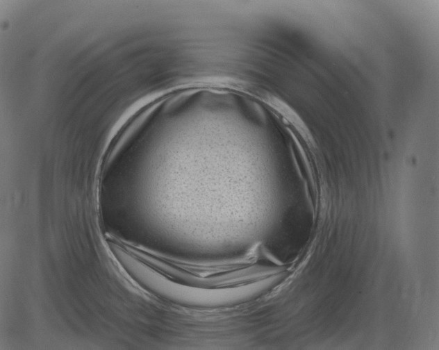 X0000082681436200702091621