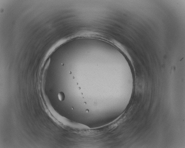 X0000082681437200702091621