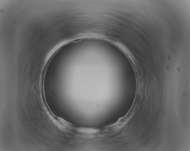 X0000082681438200702091621