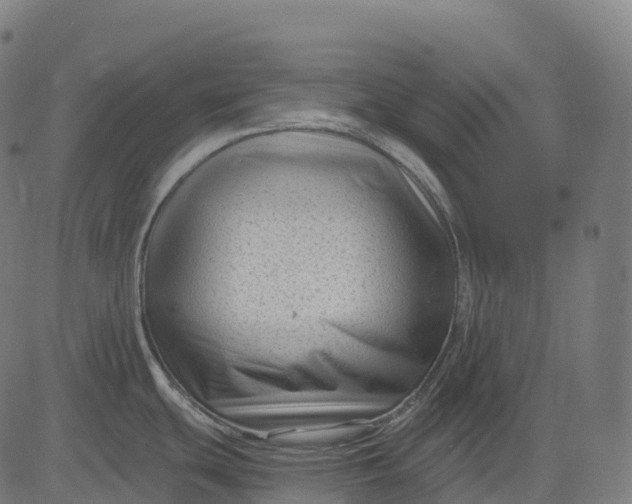 X0000082681439200702091621