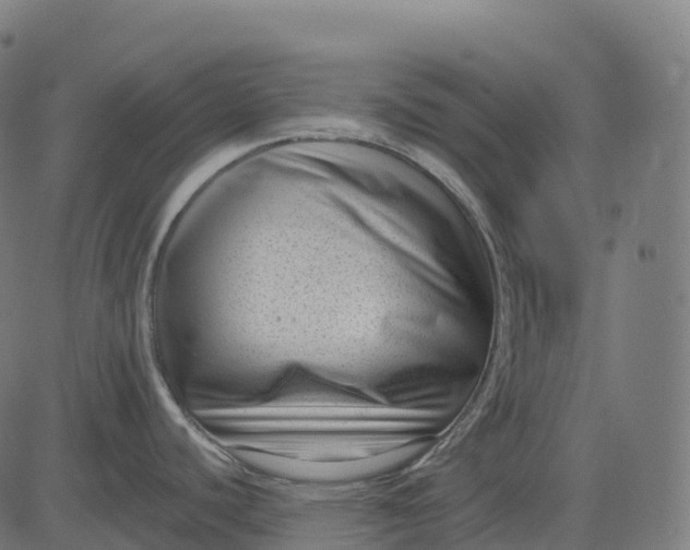 X0000082681440200702091621