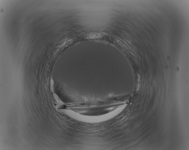 X0000082681441200702091620