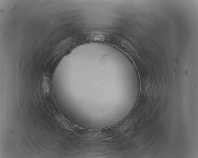 X0000082681442200702091620