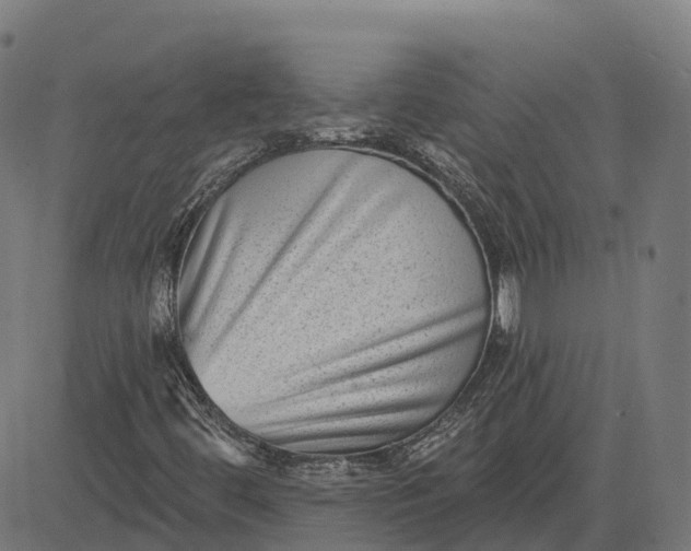 X0000082681444200702091620