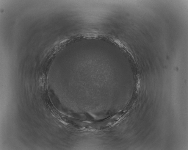 X0000082681445200702091620