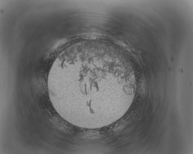 X0000082681446200702091620