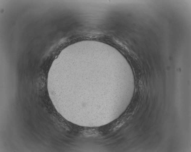 X0000082681447200702091620