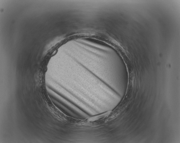 X0000082681448200702091620