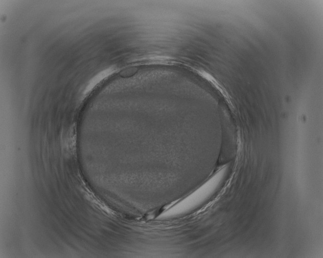 X0000082681450200702091620