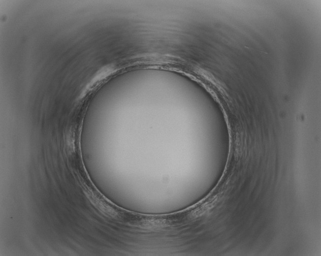 X0000082681451200702091620