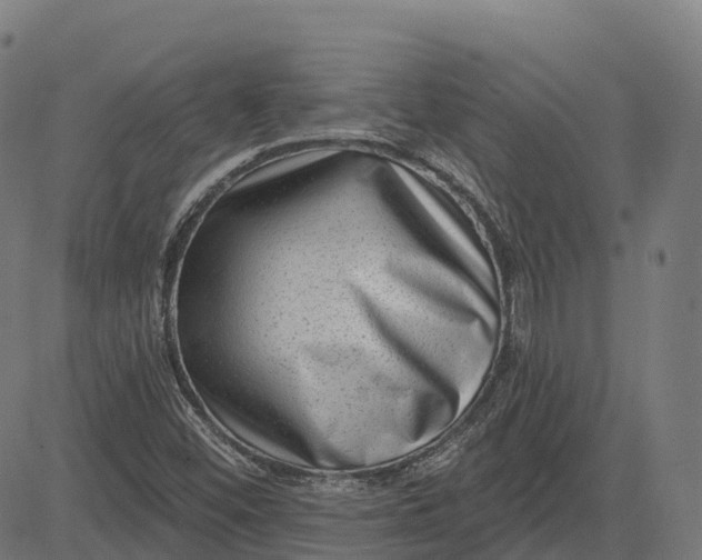 X0000082681452200702091620