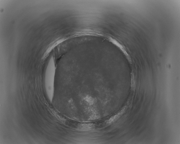 X0000082681453200702091620