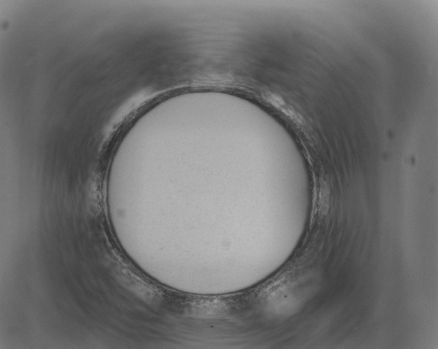 X0000082681454200702091620