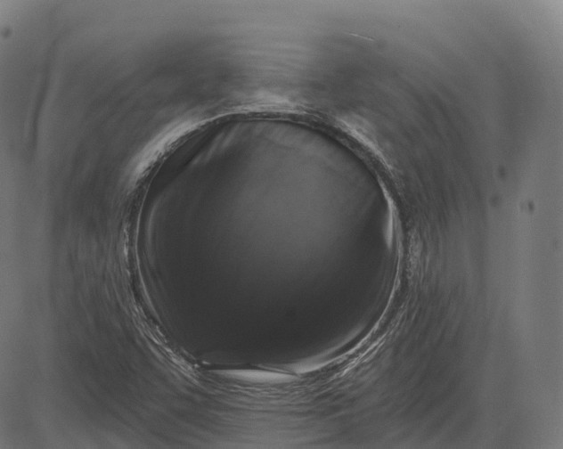 X0000082681455200702091620