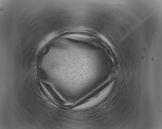 X0000082681456200702091620