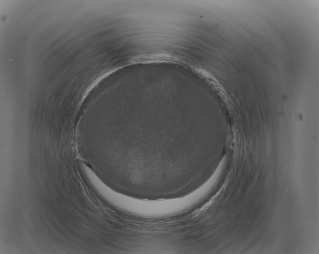 X0000082681457200702091620