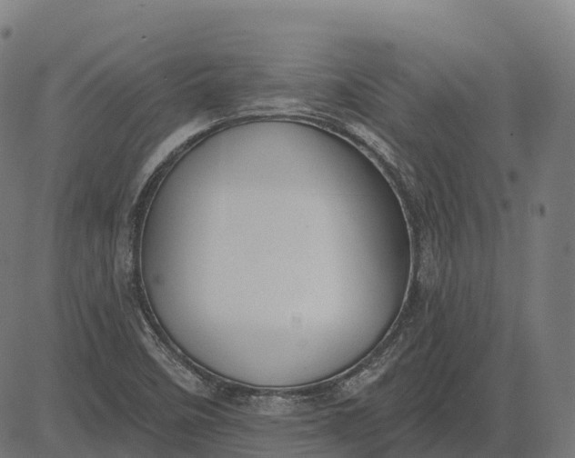 X0000082681458200702091620