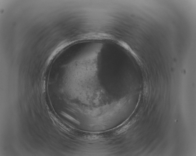 X0000082681459200702091620